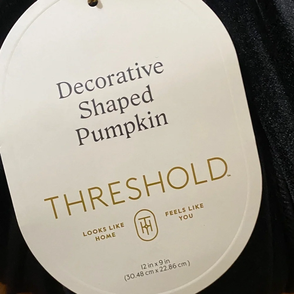 Threshold Elegant Black Pumpkin with Gold Accent